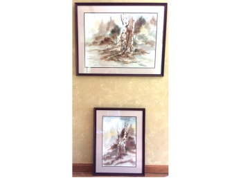 Pair Of Framed  Birch Trees On  Watercolor Paper Signed ' M. A. Muller'