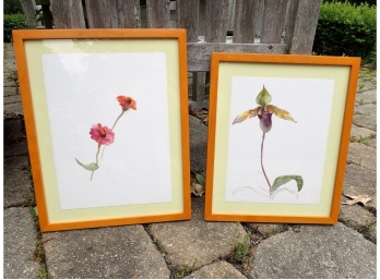 Two Botanical Watercolors Signed 'Cottle'