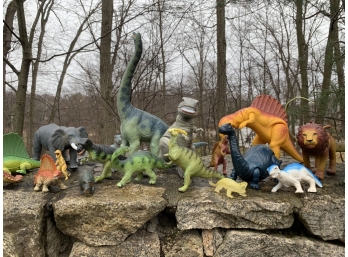 Dinosaurs & Animals!