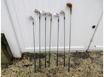 Golden Eagle Irons With Wood Driver