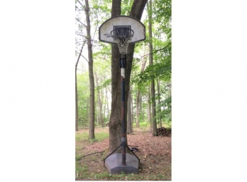 Quick Court  Lifetime Products  Basketball Hoop