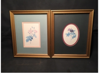 Pair Of Gilt Frame Botanical Prints