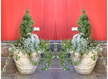 Pair Of Cement Planters With Live Greenery Included