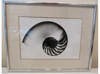 Photo Signed Nautilus