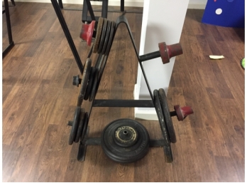 Weight Stand With Weights