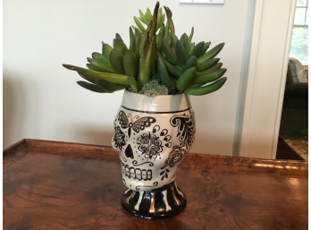 Artificial Succulent  Plant In A  Ceramic  Skull Mug  Tabletop Decor