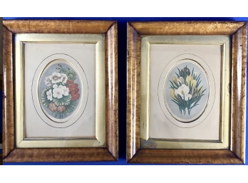 Set Of 2 Vintage Flower Lithographs With Antique Curley Maple Frames