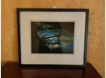 Framed Print - Pond With Lily Pads