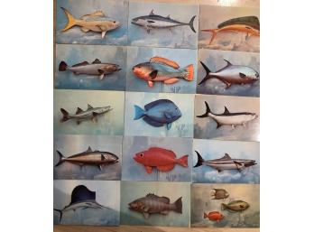 ~2nd ~Lot Of 15, Different Fish Postcards Kodachrome~ Valence Color Studies