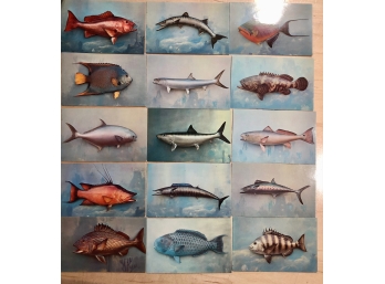 RARE~~~Lot Of 15 Fish Postcards Kodachrome~ Valence Color Studies, Miami Florida