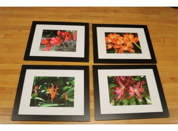 Set Of 4 Floral Pictures Framed