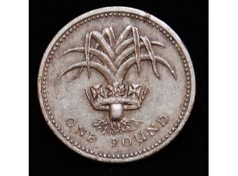 1985 British One Pound Coin W/ Edge Lettering! (bmr9)