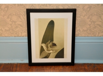 20th Century Modernist Signed Photograph