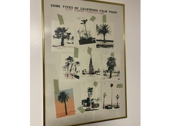 Vintage Signed And Numbered Cactus Of California Print