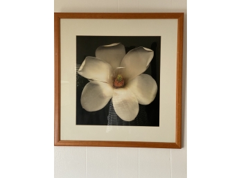 Sweet Magnolia Print
