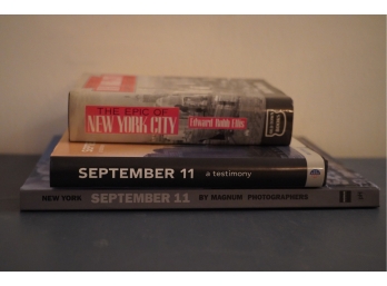 LOT OF NYC BOOKS