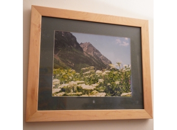 21.5' X 19' FRAMED PHOTO OF FLOWERS WITH ROCK MOUNTAIN IN BACKGROUND