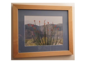 21.5' X 19' FRAMED PHOTO OF A PLANT