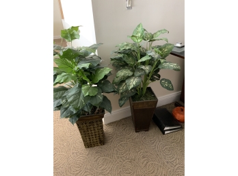 Two Fake Plants
