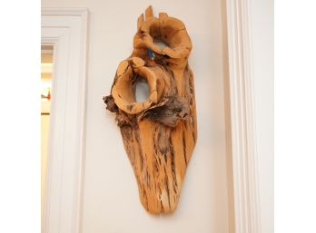 Rootwood Wall Sculpture 26 Inches High