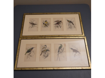 TWO FRAMED PICTURES OF BIRDS