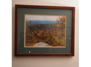 20.5' X 17.5 FRAMED PHOTO OF FOLIAGE AND MOUNTAINS