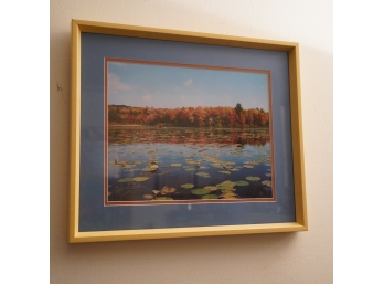 19.5 X 16.5  FRAMED PHOTO OF LILLY PADS