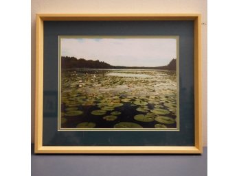 FRAMED PHOTO OF A POND WITH LILLY PADS