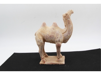 Tang Dynasty Chinese Bactrian Camel