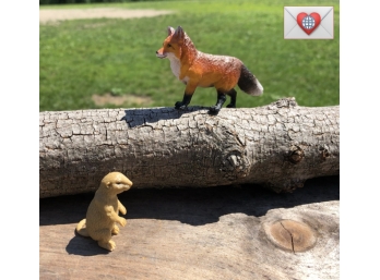 For The Kinder: Forest Beasts: Mortal Enemies: Fox And Groundhog