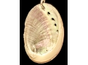 Tiny Natural Rainbow Abalone Shell On Vintage Sterling Silver Ball Chain Necklace ~ Ever Sweet!