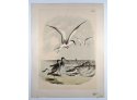 1888 Antique Oversized Lithographic Book Plate A Lively Flock Of Shore Birds From 'The Birds Of North America'