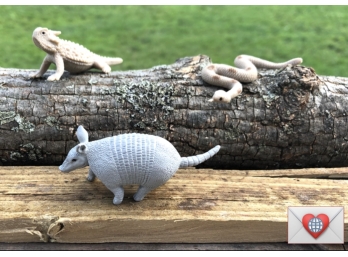 For The Kinder: 3 Beasts: Snake Armadillo And Horned Lizard