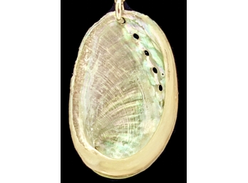 Tiny Natural Rainbow Abalone Shell On Vintage Silver Twist Chain Necklace ~ Ever Sweet!