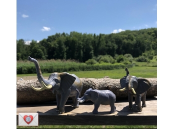 For The Kinder: Familial Beasts: Pachyderm