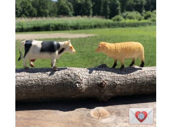 For The Kinder: Domestic Farm Animals: Cow And Sheep