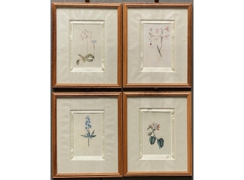 Four Framed And Matted With Silk Botanical, Flora & Fauna Prints