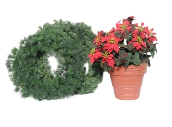 CHRISTMAS  POINT SETTER AND WREATH
