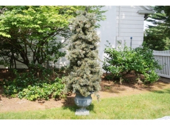 *Faux Christmas Tree In A Planter