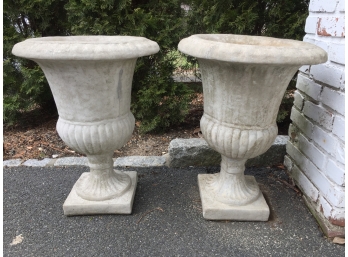 Two Concrete Urns And  More