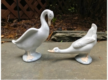Two NAO For Lladro Ducks
