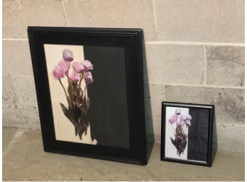 Two Black Frames With Prints Of Tulips By John Zappota