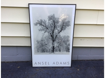 Ansel Adams Framed Winter Tree Scene Print