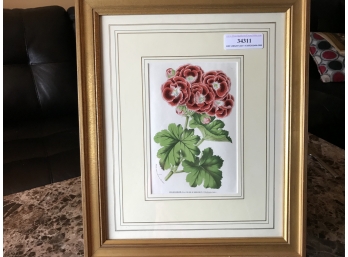 Decorative Botanical Print