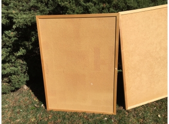 Two Large Framed Pin Boards
