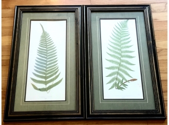 Wonderful Pair Of Vintage  Leaf Prints