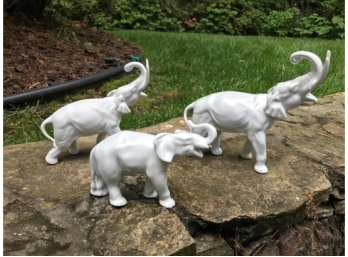 Wallendorf Porcelain Figurines - Three Elephants