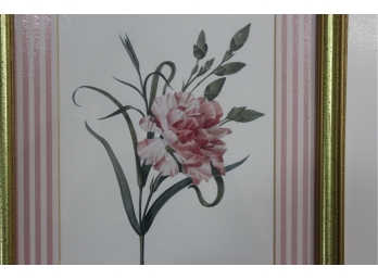 Pair Of Redoute Framed And Matted Botanical Prints