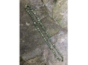 Single Strand Of Jade Beads With Sterling Clasp, Hangs 30'