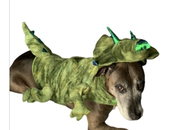 Dinosaur & Shark Doggie Costume, Size L